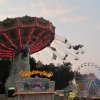 IMG_1503