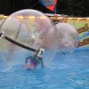 IMG_1509