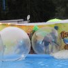 IMG_1510