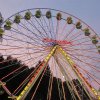 IMG_1512