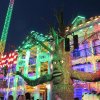 IMG_1538